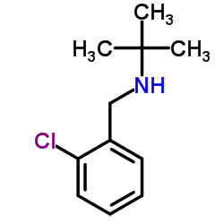 N-(2-Chlorobenzyl)-2-methyl-2-propanamine结构式