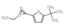 5-tert-Butyl-furan-2-carbonsaeure-aethylester Structure