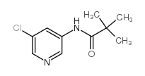 N-(5-氯-3-吡啶基)-2,2-二甲基丙酰胺结构式