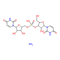 尿酸酶结构式