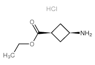 CIS-3-AMINOCYCLOBUTANECARBOXYLIC ACID ETHYL ESTER HYDROCHLORIDE Structure