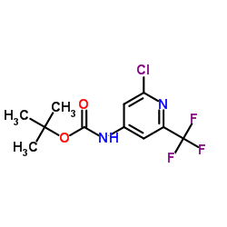 2-Methyl-2-propanyl [2-chloro-6-(trifluoromethyl)-4-pyridinyl]carbamate结构式