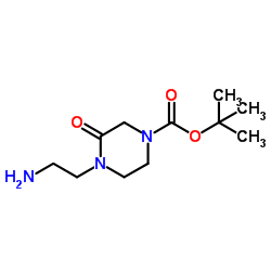 tert-butyl 4-(2-aminoethyl)-3-oxopiperazine-1-carboxylate Structure