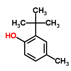 2-tert-Butyl-4-methylphenol structure