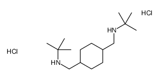 N-[[4-[(tert-butylamino)methyl]cyclohexyl]methyl]-2-methylpropan-2-amine,dihydrochloride Structure