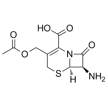 7-Aminocephalosporanic acid Structure