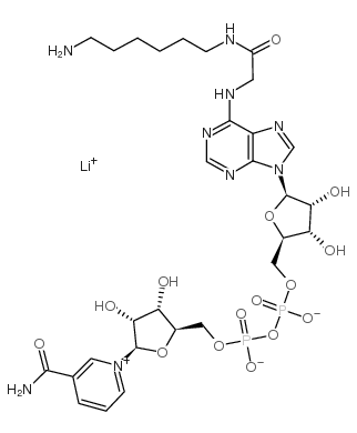 n6-([6-aminohexyl]-carbamoylmethyl)-nicotinamide adenine dinucleotide lithium salt Structure