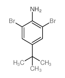 2,6-二溴-4-叔丁基苯胺结构式