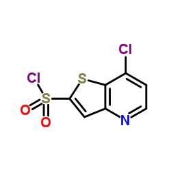 7-Chlorothieno[3,2-b]pyridine-2-sulfonyl chloride结构式