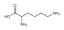 Polylysine structure