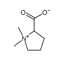 STACHYDRINE picture