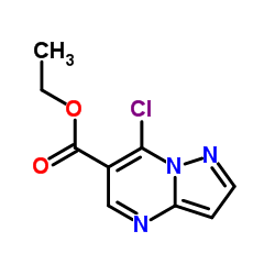 7-氯吡唑并[1,5-a]嘧啶-6-羧酸乙酯结构式