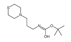 [3-(4-硫代吗啉)丙基]氨基甲酸1,1-二甲基乙酯结构式