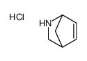 5-azabicyclo[2.2.1]hept-2-ene,hydrochloride结构式