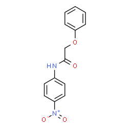 N-{4-nitrophenyl}-2-phenoxyacetamide结构式