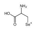 D,L-SELENOCYSTEINE Structure