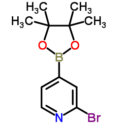2-溴吡啶-4-硼酸频哪酯结构式