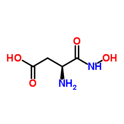 N-Hydroxy-L-α-asparagine Structure
