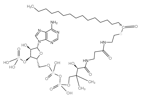 palmitoyl coenzyme a, [palmitoyl-1-14c] Structure