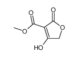 methyl 4-hydroxy-2-oxo-2,5-dihydrofuran-3-carboxylate结构式