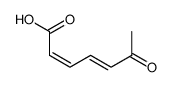2Z,4E-6-oxo-2,4-heptadienoic acid Structure
