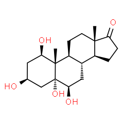 1,3,5,6-tetrahydroxyandrostan-17-one结构式
