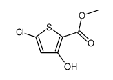 5-氯-3-羟基噻吩-2-羧酸甲酯结构式