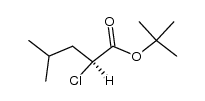 (S)-tert-butyl 2-chloro-4-methylpentanoate结构式