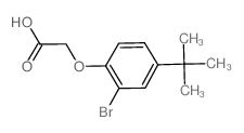 2-(2-bromo-4-tert-butylphenoxy)acetic acid结构式