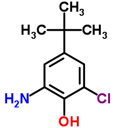 2-AMINO-4-TERT-BUTYL-6-CHLOROPHENOL结构式