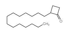 2-十四基环丁烷酮结构式