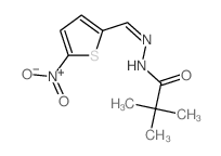 2,2-dimethyl-N-[(5-nitrothiophen-2-yl)methylideneamino]propanamide结构式