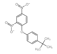 2,4-dinitro-1-(4-tert-butylphenoxy)benzene结构式