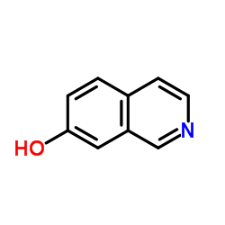 7-羟基异喹啉结构式