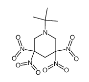1-tert-butyl-3,3,5,5-tetranitropiperidine结构式
