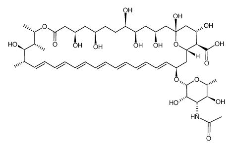 N-乙酰两性霉素B结构式