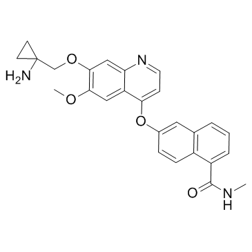 6-[[7-[(1-氨基环丙基)甲氧基]-6-甲氧基-4-喹啉基]氧基]-N-甲基-1-萘甲酰胺结构式