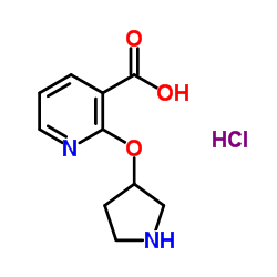 2-(3-Pyrrolidinyloxy)nicotinic acid hydrochloride (1:1) Structure