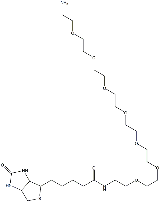 N-(23-氨基-3,6,9,12,15,18,21-七氧杂十三烷基)-5-((3aS,4S,6aR)-2-氧代六氢-1H-噻吩并[3,4-d]咪唑-4-基)戊酰胺结构式
