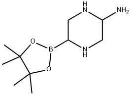 5-Aminopiperazine-2-boronic acid pinacol ester Structure