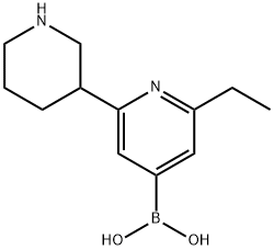 2-Ethyl-6-(piperidin-3-yl)pyridine-4-boronic acid Structure