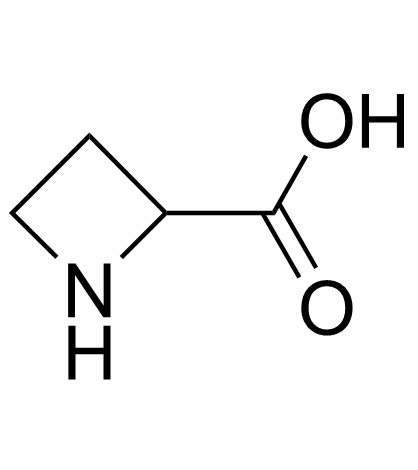 Azetidine-2-carboxylic acid picture