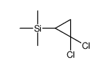 1,1-Dichloro-2-(trimethylsilyl)cyclopropane结构式