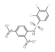 Benzenesulfonamide,2,3,4-trichloro-N-(2,4-dinitrophenyl)-结构式