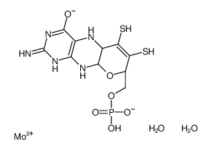 Molybdoenzyme molybdenum cofactor Structure