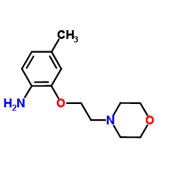 4-Methyl-2-[2-(4-morpholinyl)ethoxy]aniline结构式