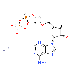 zinc adenosine triphosphate Structure