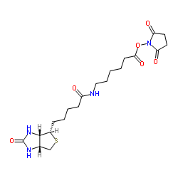 生物素化-epsilon-氨基己酸-N-羟基丁二酰亚胺活化酯结构式
