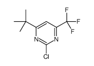 4-tert-butyl-2-chloro-6-(trifluoromethyl)pyrimidine Structure