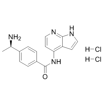 Y-39983 HCl Structure